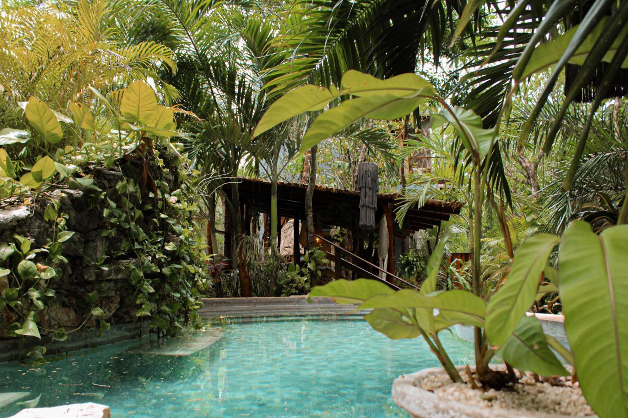 Anand Ecoaldea Puerto Morelos Exterior foto